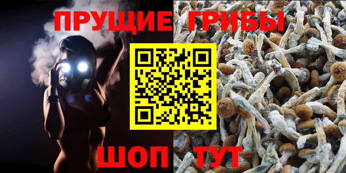 сколько стоит  Галлюциногенные грибы мухоморы  Вход с VPN  Егорьевск 